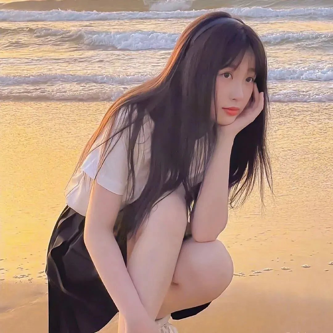 海豚伯尼